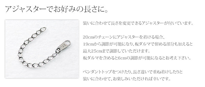 純チタン アンクレット 20cm+アジャスター5cm スクリュー 3.3mm幅 B20FAJ2