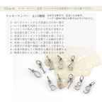 純チタン ネックレス オリジナル お守りネックレス 40cm ON