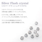 純チタン ピアス シルバーフラッシュクリスタル ラウンドカット 6mm 両耳 フック PFN010pair
