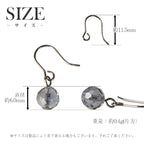 純チタン ピアス シルバーフラッシュクリスタル ラウンドカット 6mm 両耳 フック PFN010pair