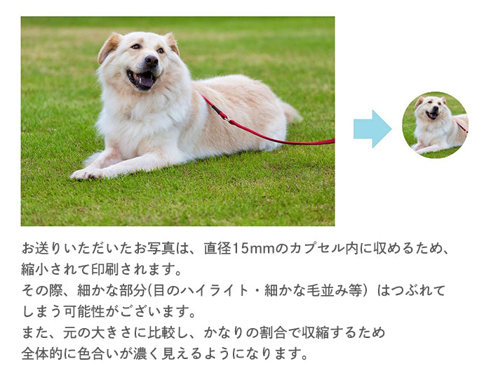 純チタン 遺骨ペンダント （ 遺骨カプセル ） ネックレス 50cm PC45-1