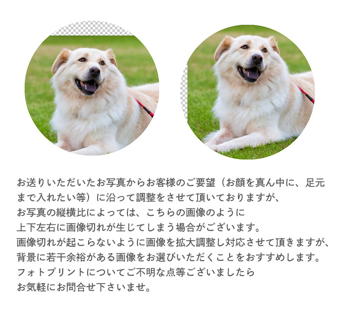 純チタン 遺骨ペンダント （ 遺骨カプセル ） ネックレス 50cm PC45-1