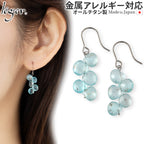 Pure Titanium Earrings, Blue Apatite, Marquis Cut, Hook, PFN026pair