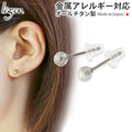 Pure Titanium Earrings Labradorite PN009pair Post Round Cut 4mm For both ears