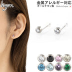 純チタン ピアス ジルコニア PZ40pair