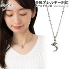 Pure Titanium Dolphin Necklace 40cm T25A40F