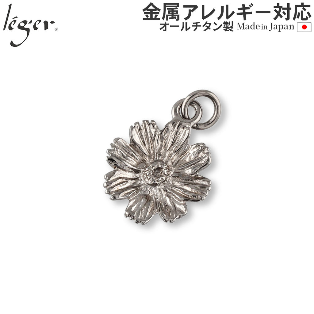 Pure Titanium Pendant Top Cosmos T315