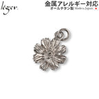 Pure Titanium Pendant Top Cosmos T315