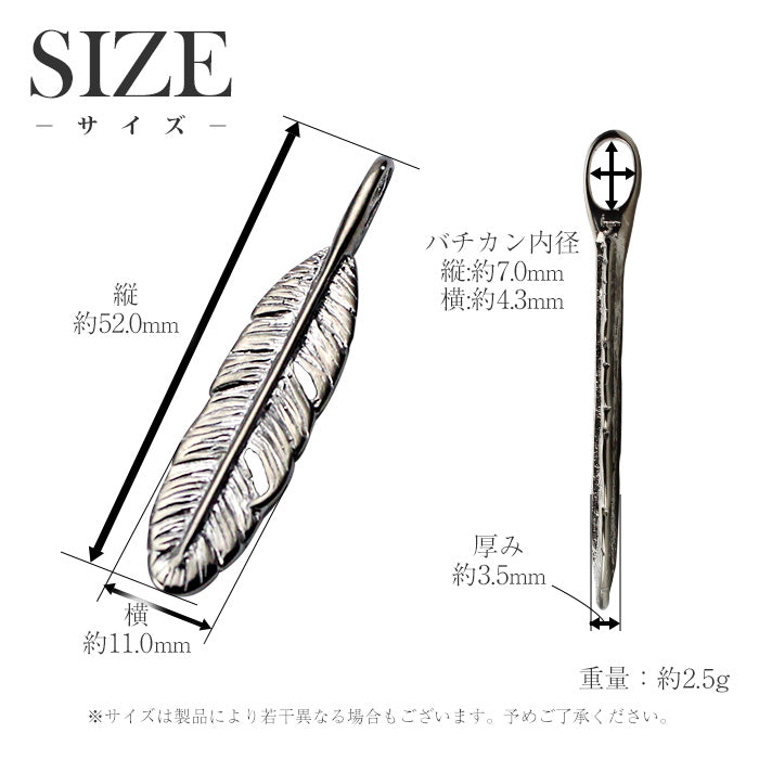 Pure Titanium Necklace, Feather, 55cm T65D55F